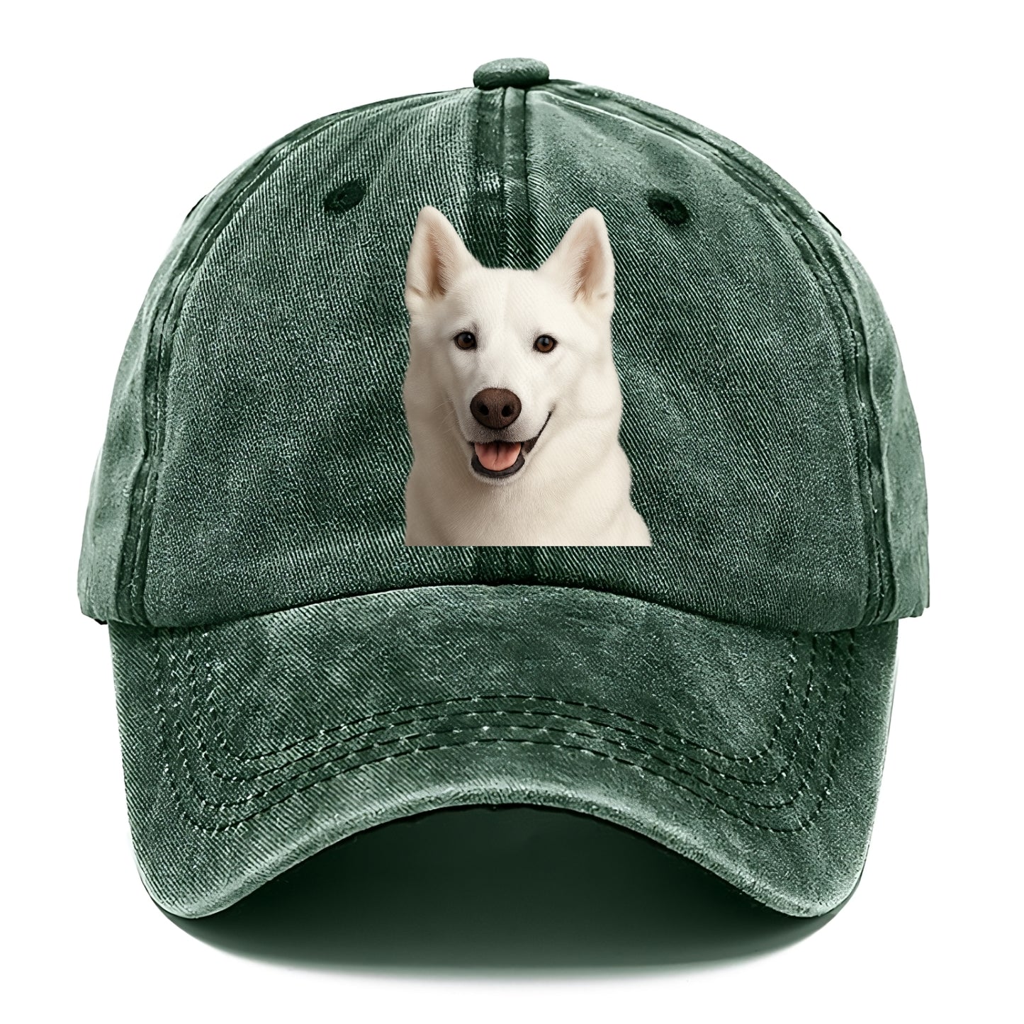 husky arctic adventure Hat