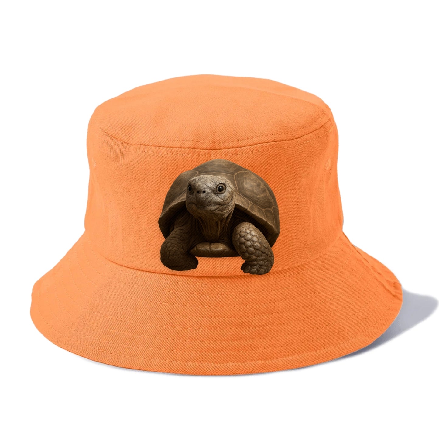 tortoise portrait design Hat