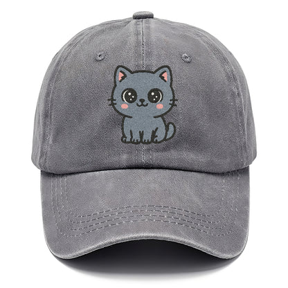 british-shorthair-calm-demeanor Hat