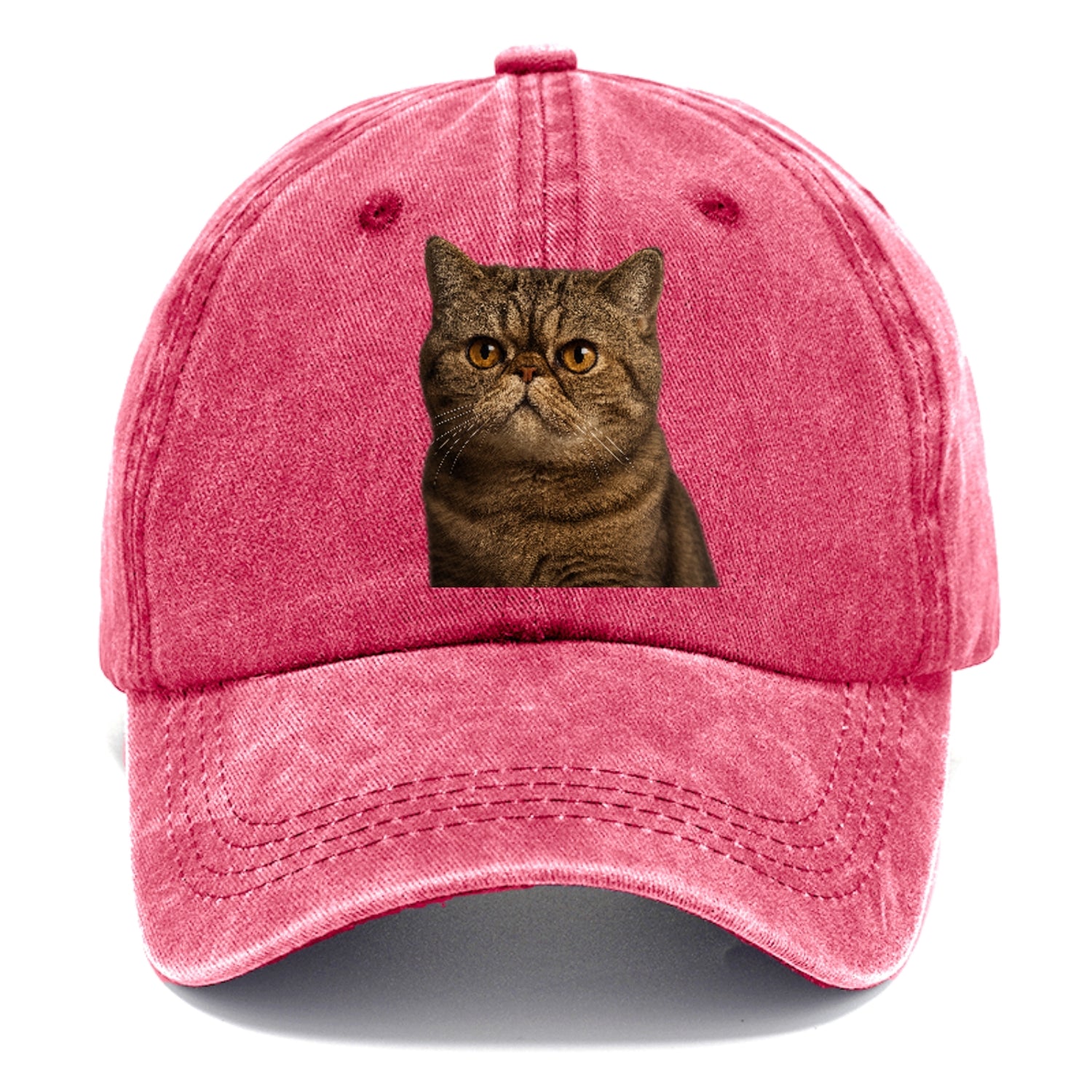 exotic-shorthair-charm Hat