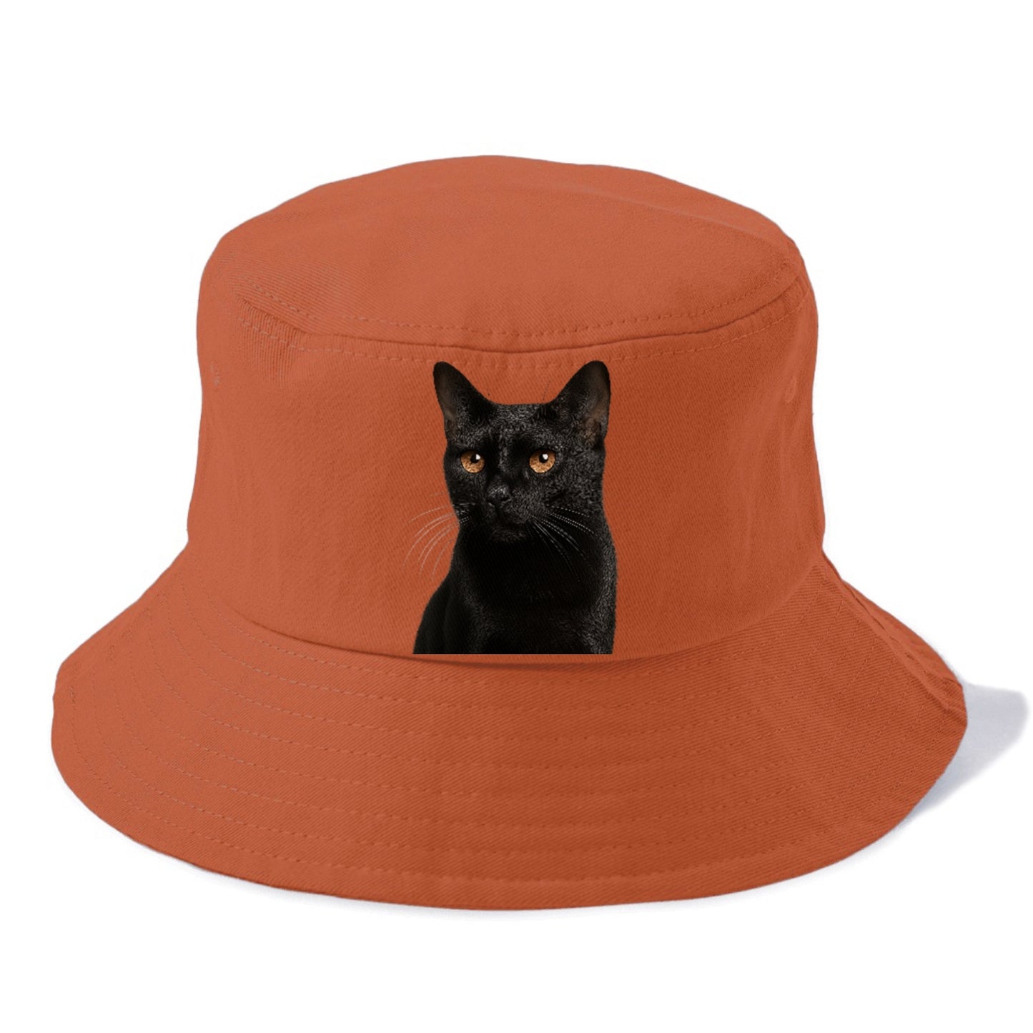 bombay-sleek-charm Hat