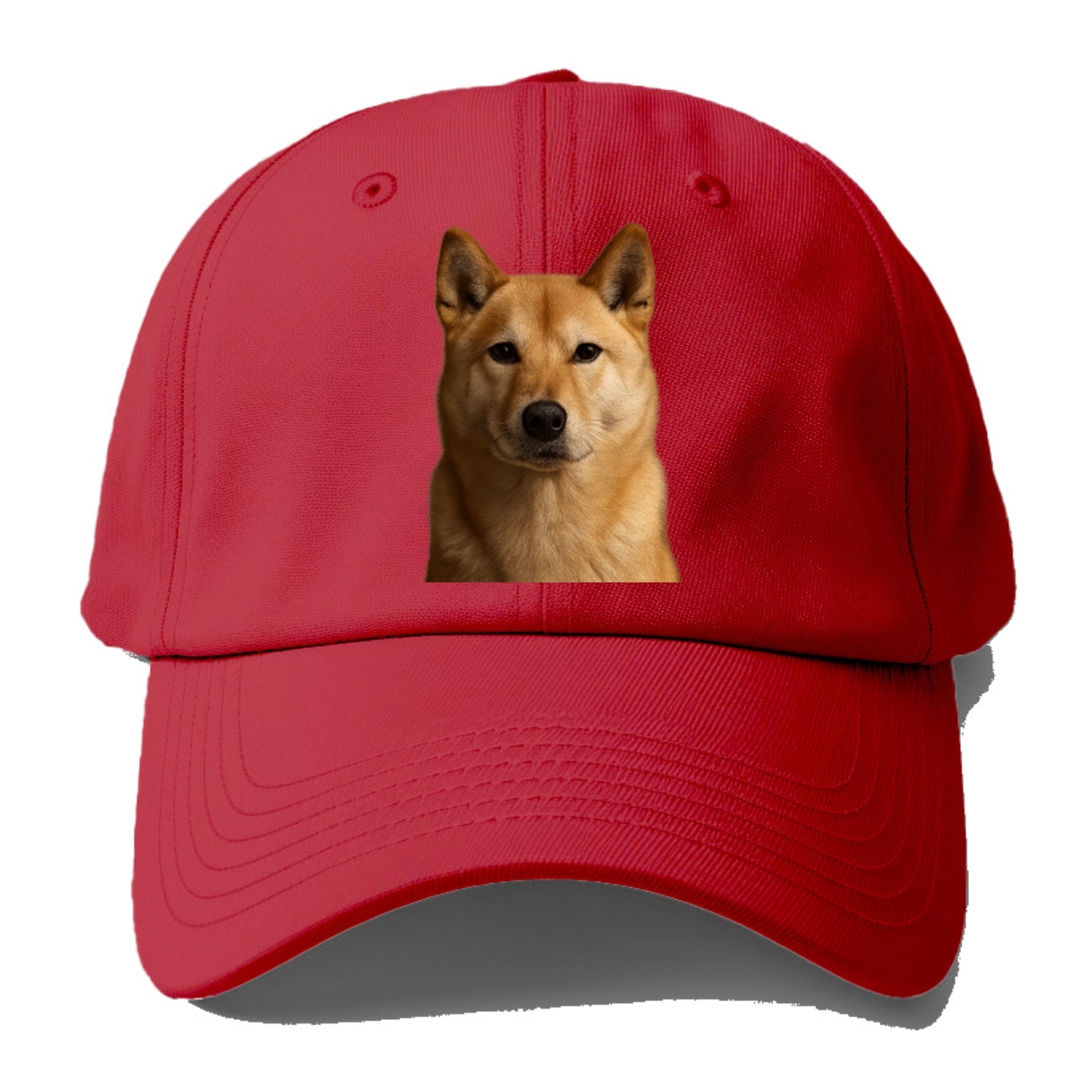 guardian Hat