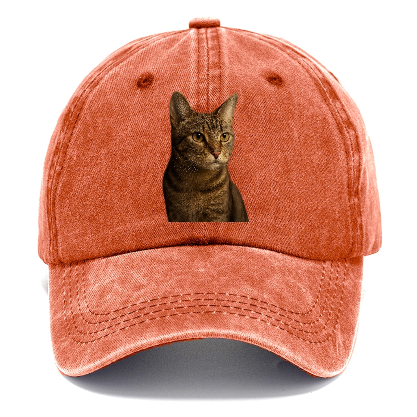 playful-cat-playful-spirit Hat