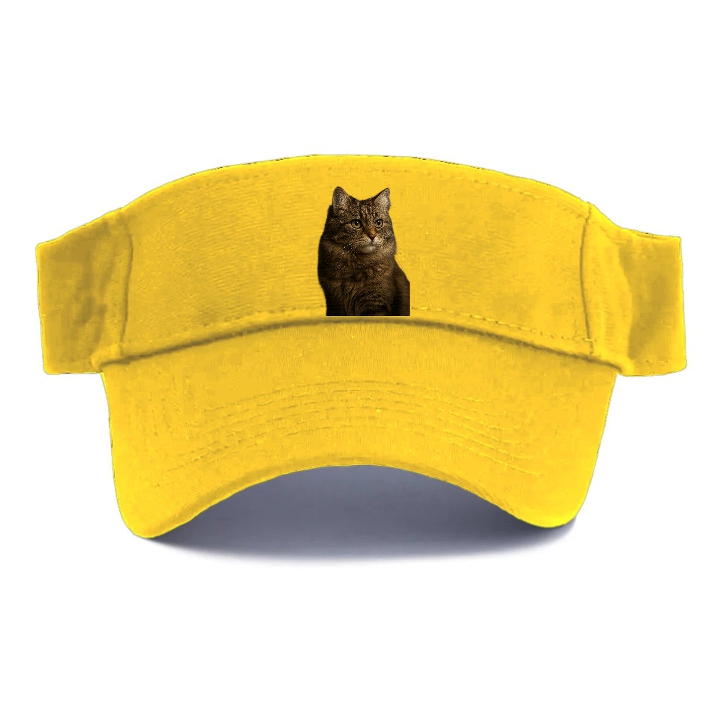 domestic-longhair-graceful-flow Hat