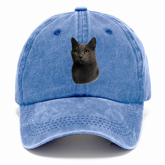 chartreux-gentle-grace Hat