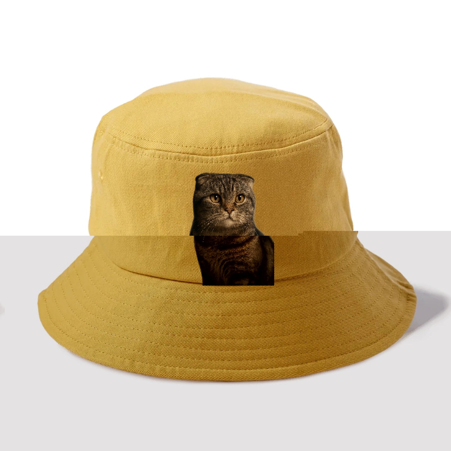 scottish-fold-curious-charm Hat