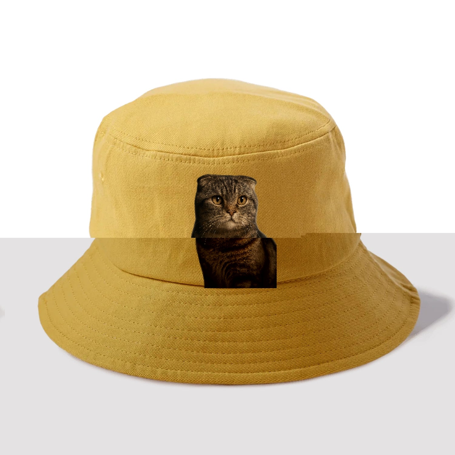 scottish-fold-curious-charm Hat