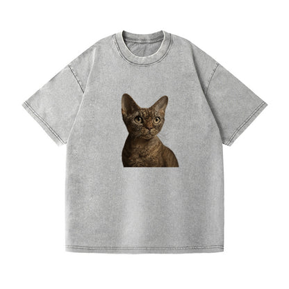 devon-rex-playful-spirit Hat