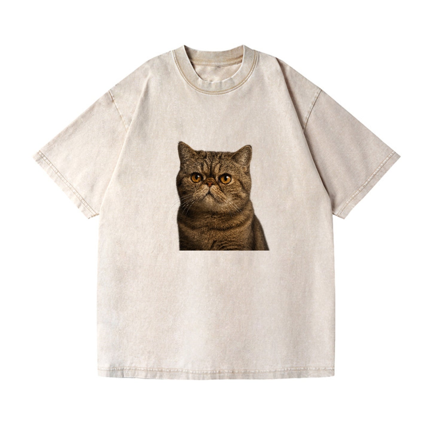 exotic-shorthair-charm Hat