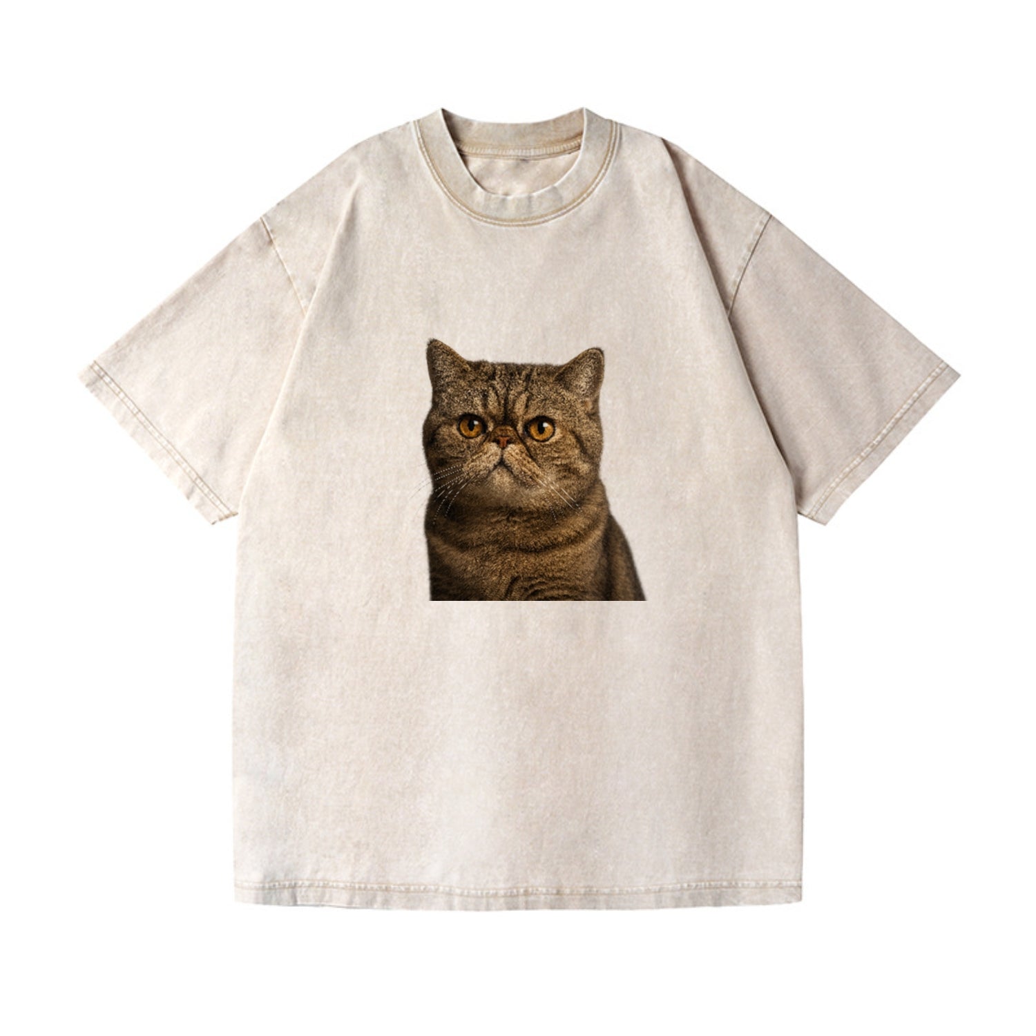 exotic-shorthair-charm Hat