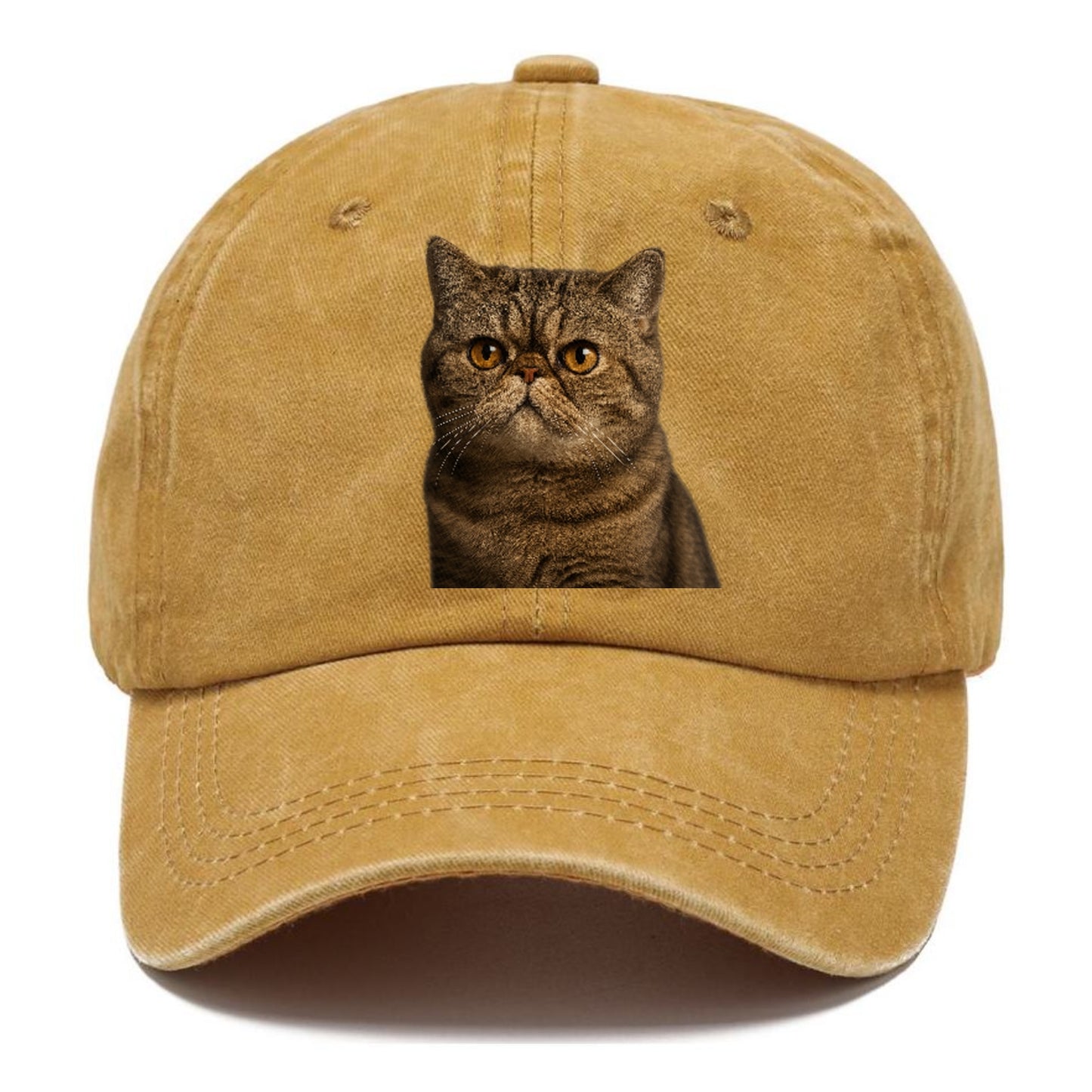 exotic-shorthair-charm Hat
