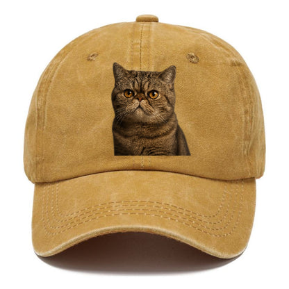 exotic-shorthair-charm Hat