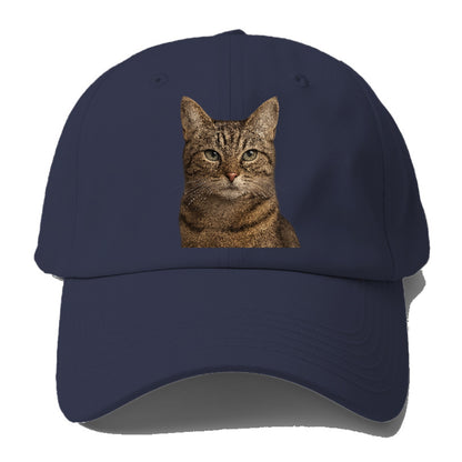 content-cat-curious-charm Hat