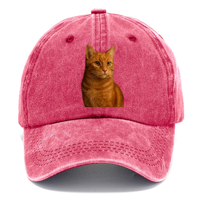 ginger-cat-warmth Hat