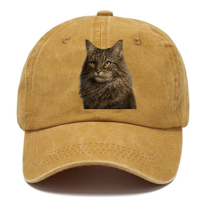 norwegian-forest-cat-wilderness-spirit Hat