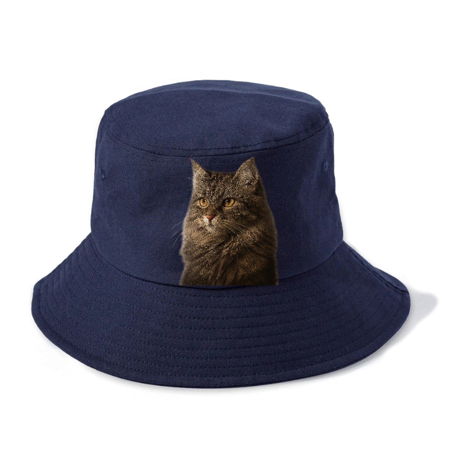 domestic-longhair-graceful-charm Hat