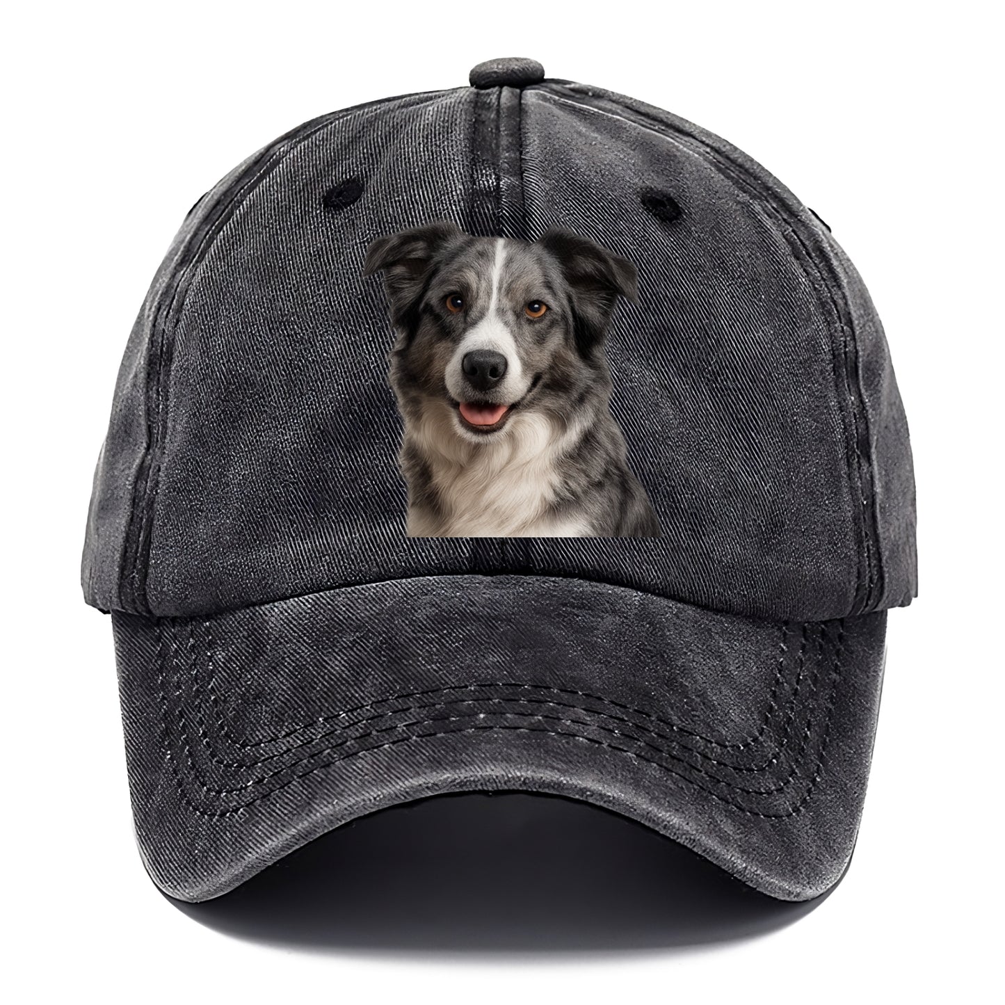 blue merle border collie agile mind Hat