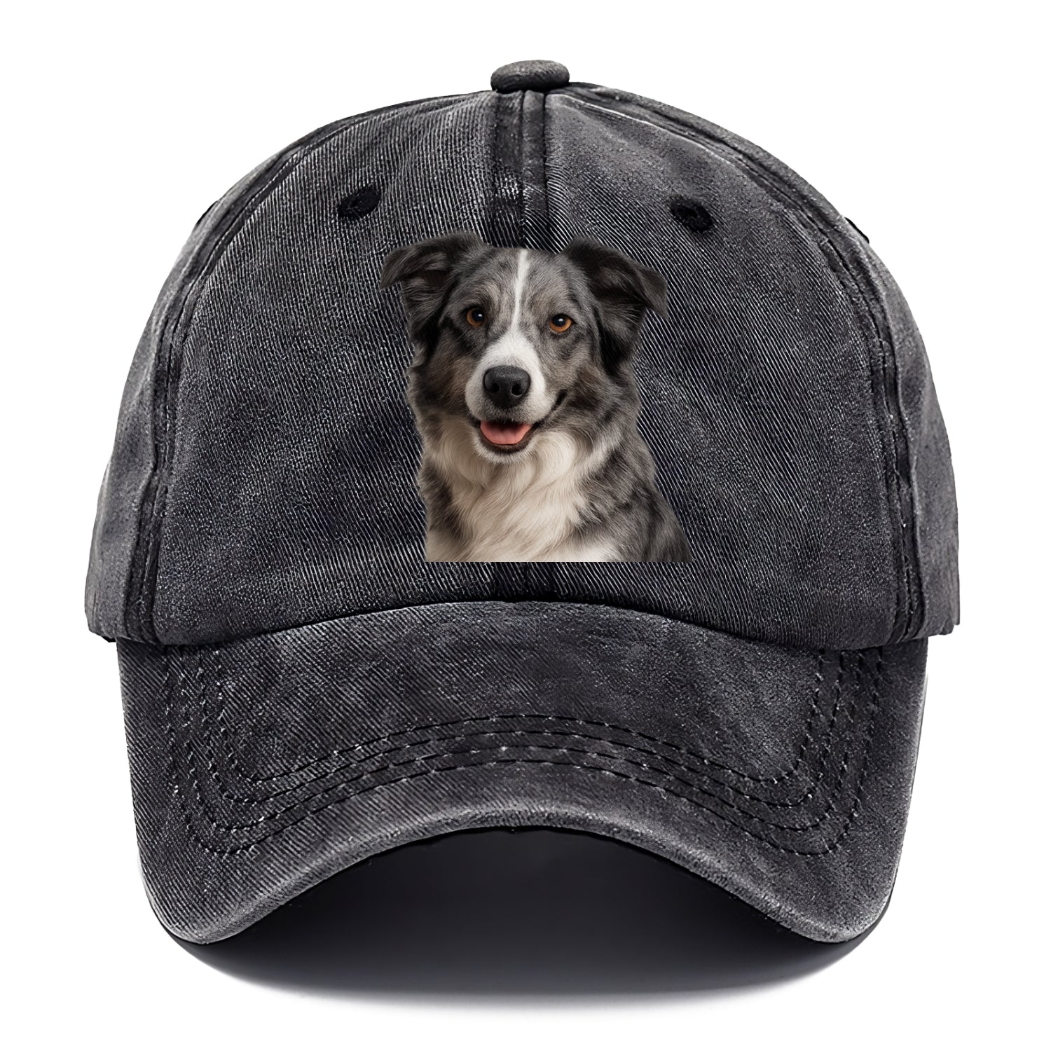 blue merle border collie agile mind Hat