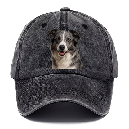 blue merle border collie agile mind Hat