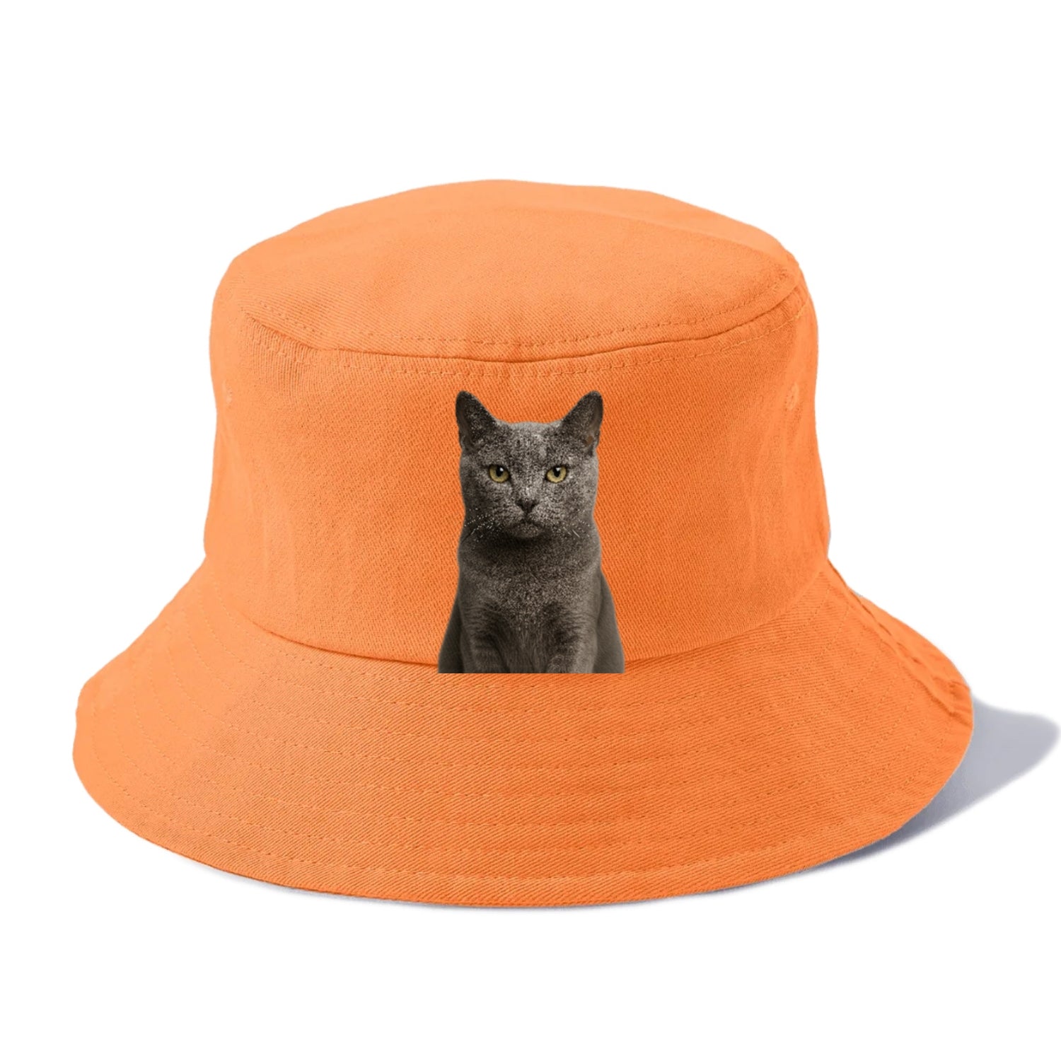 gray-cat-mysterious-charm Hat