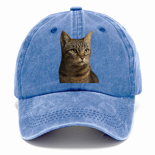 stray-cat-resilient-spirit Hat