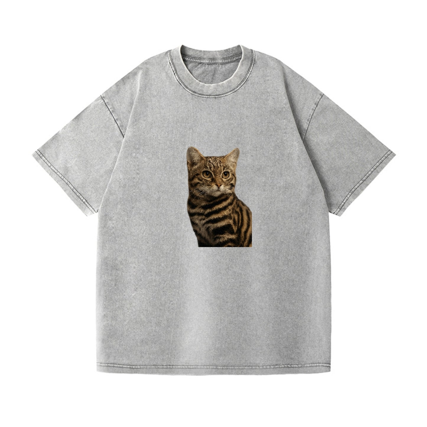 blackfooted-cat-elusive-hunter Hat