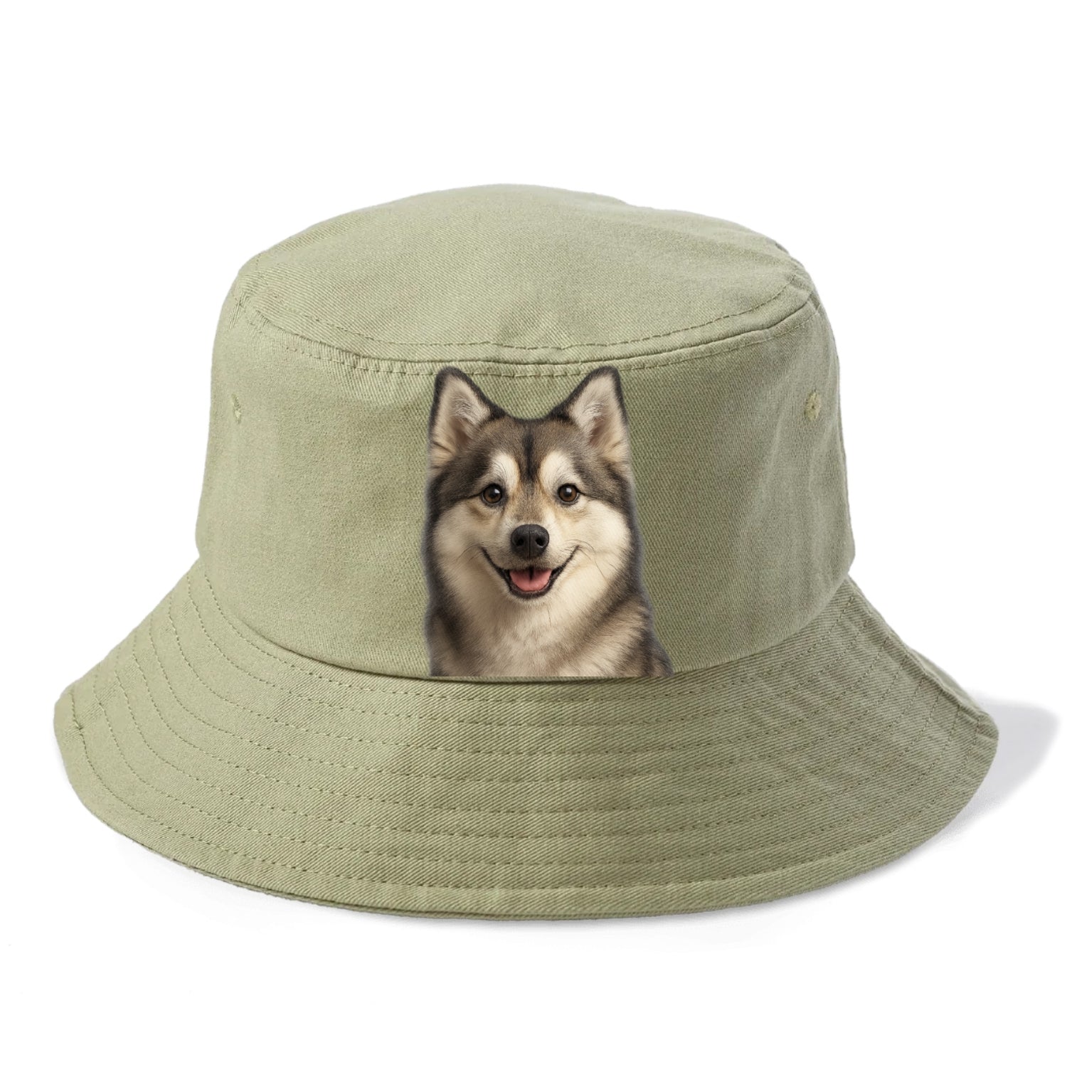 pomsky portrait design Hat