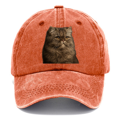 persian-regal-majesty Hat