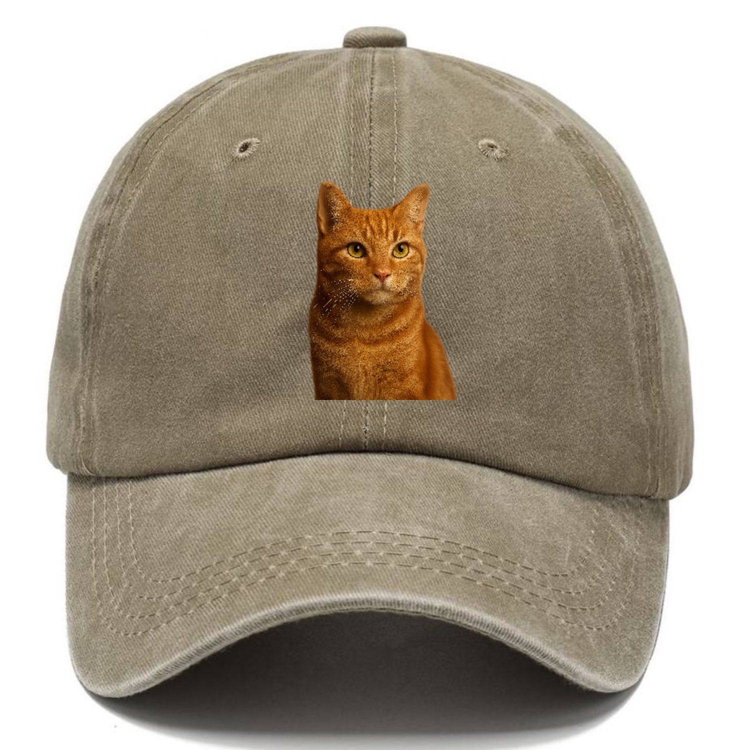 orange-tabby-cozy-companion Hat