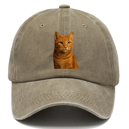 orange-tabby-cozy-companion Hat