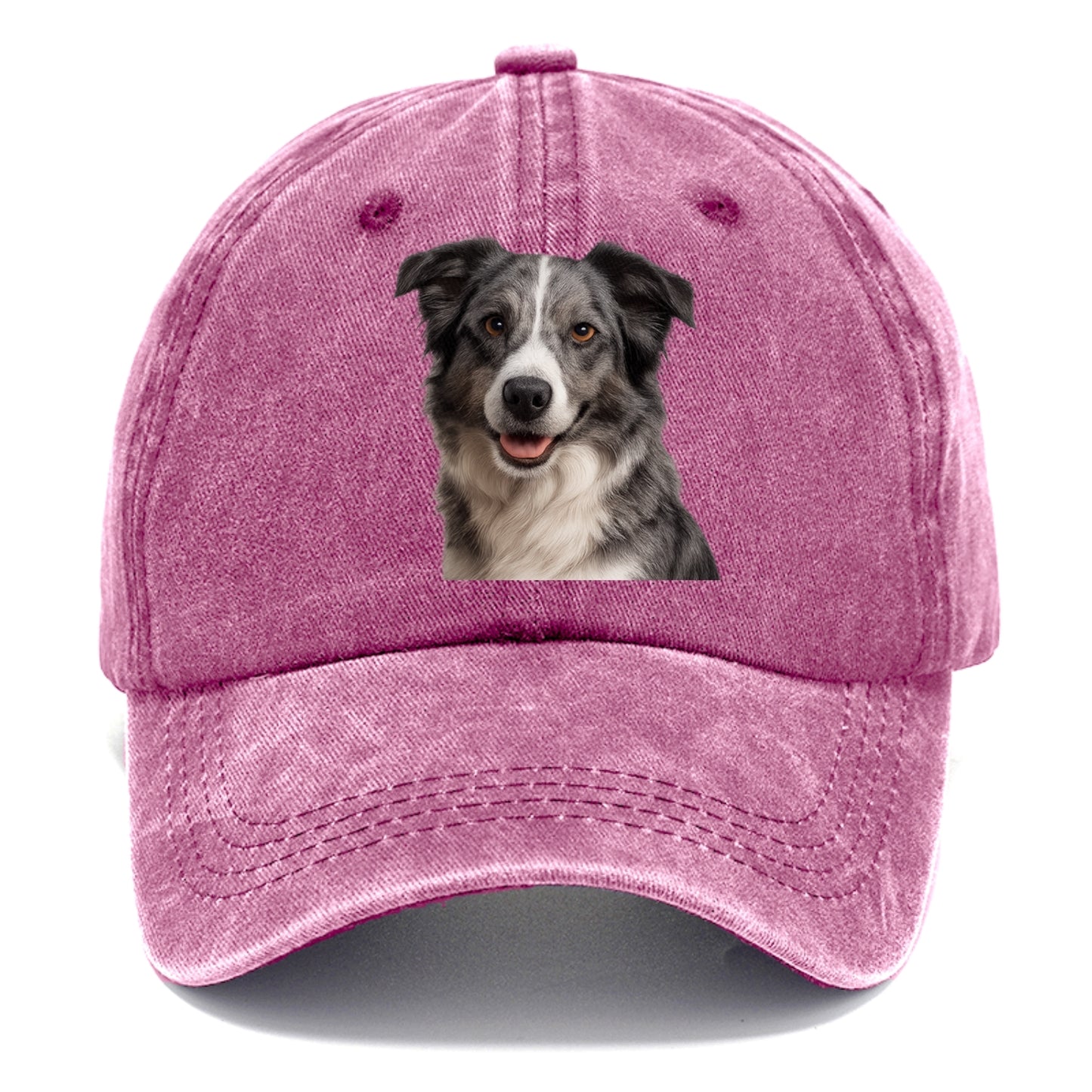blue merle border collie agile mind Hat
