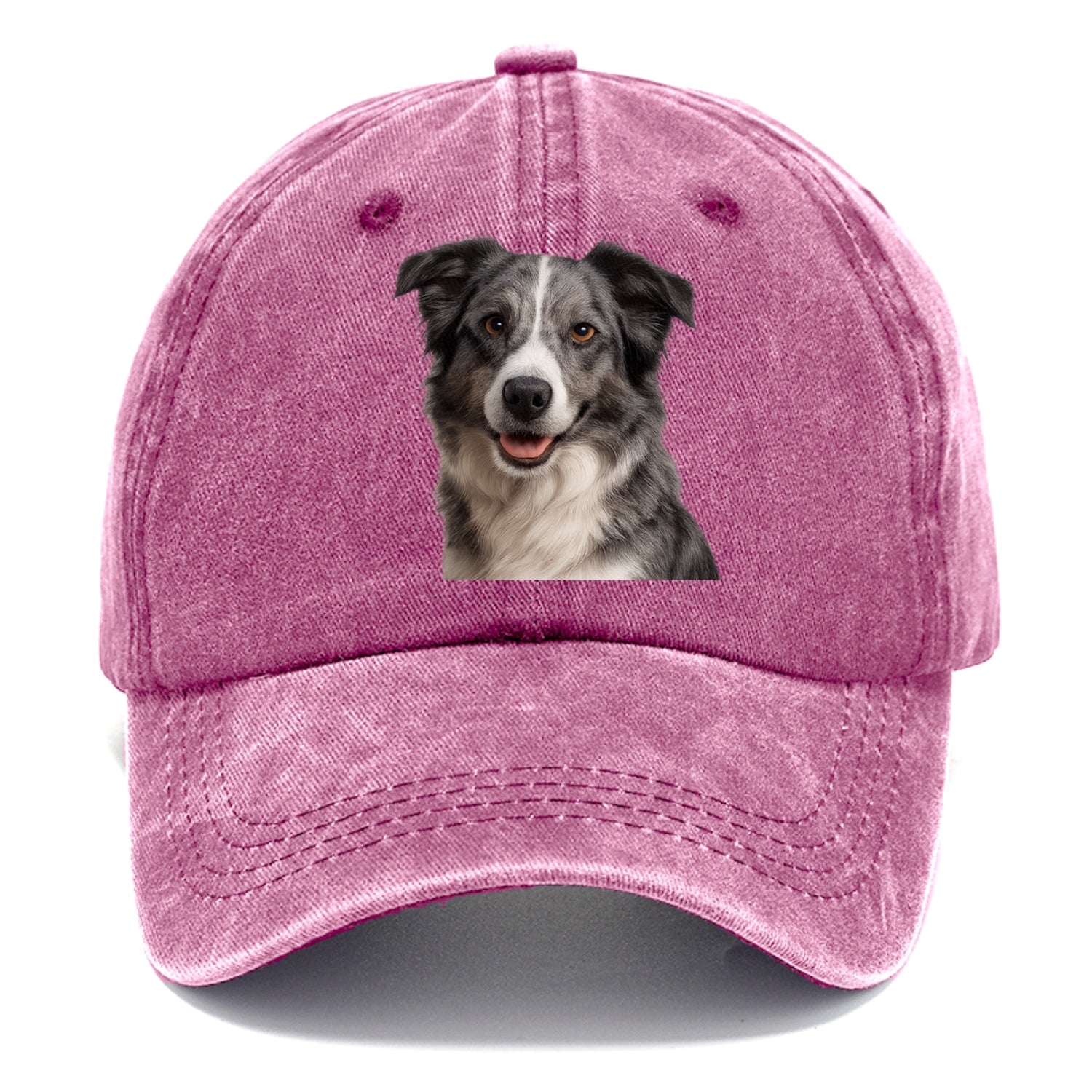blue merle border collie agile mind Hat