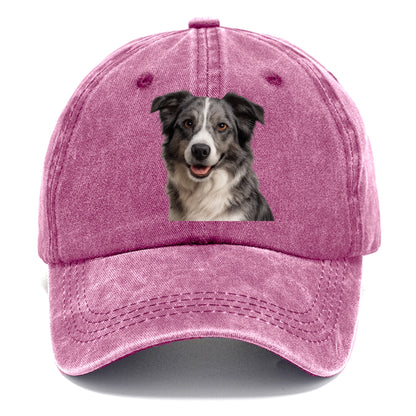 blue merle border collie agile mind Hat