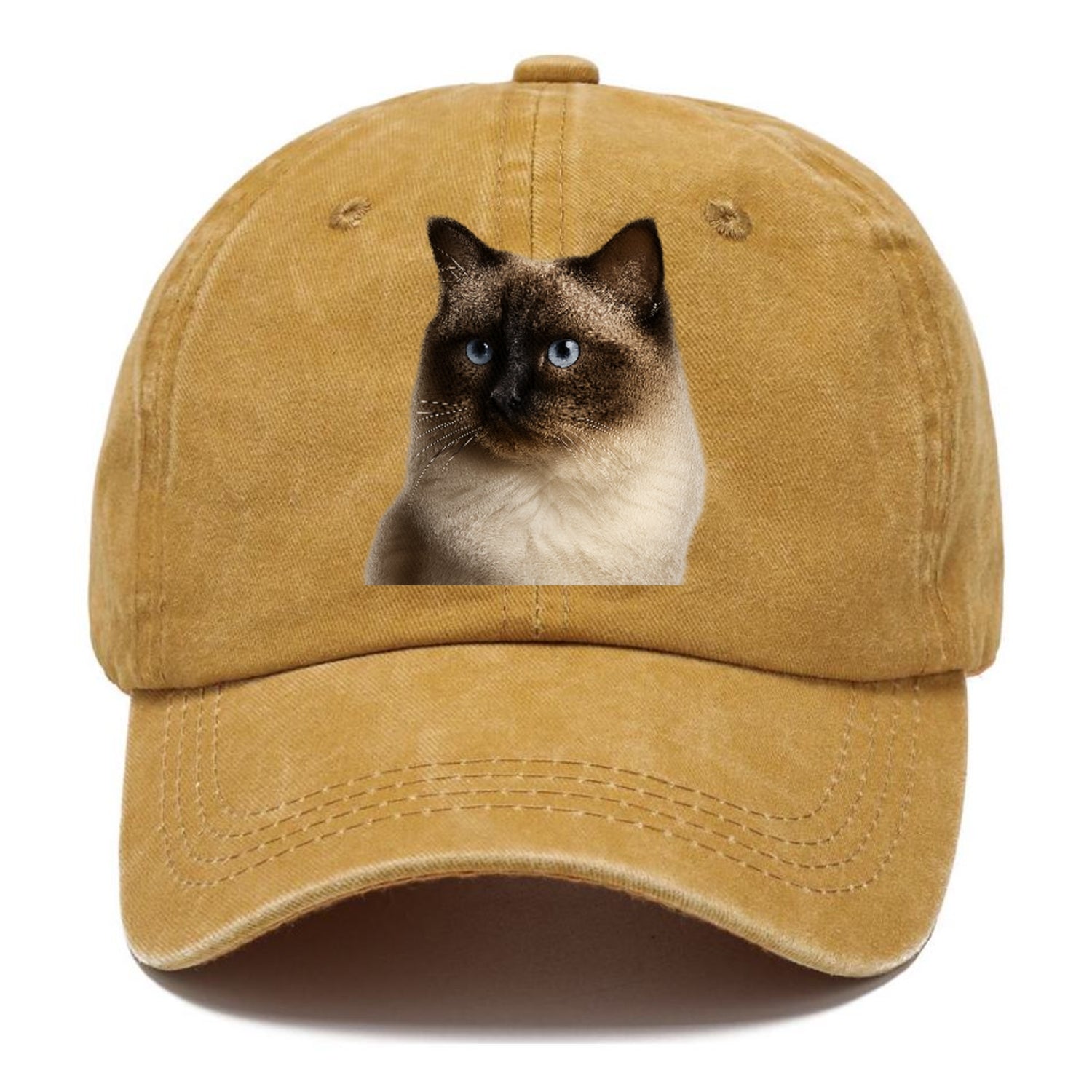 ragdoll-gentle-demeanor Hat