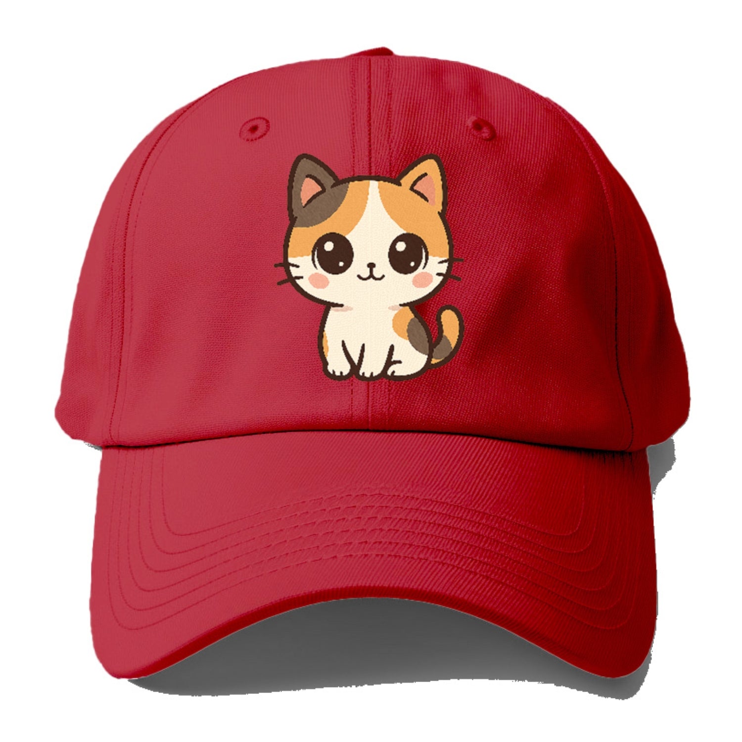 calico-vibrant-spirit Hat