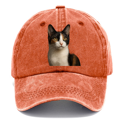 japanese-bobtail-playful-charm Hat