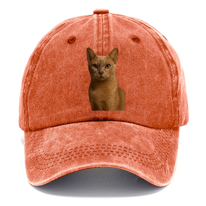fawn-cat-playful-spirit Hat