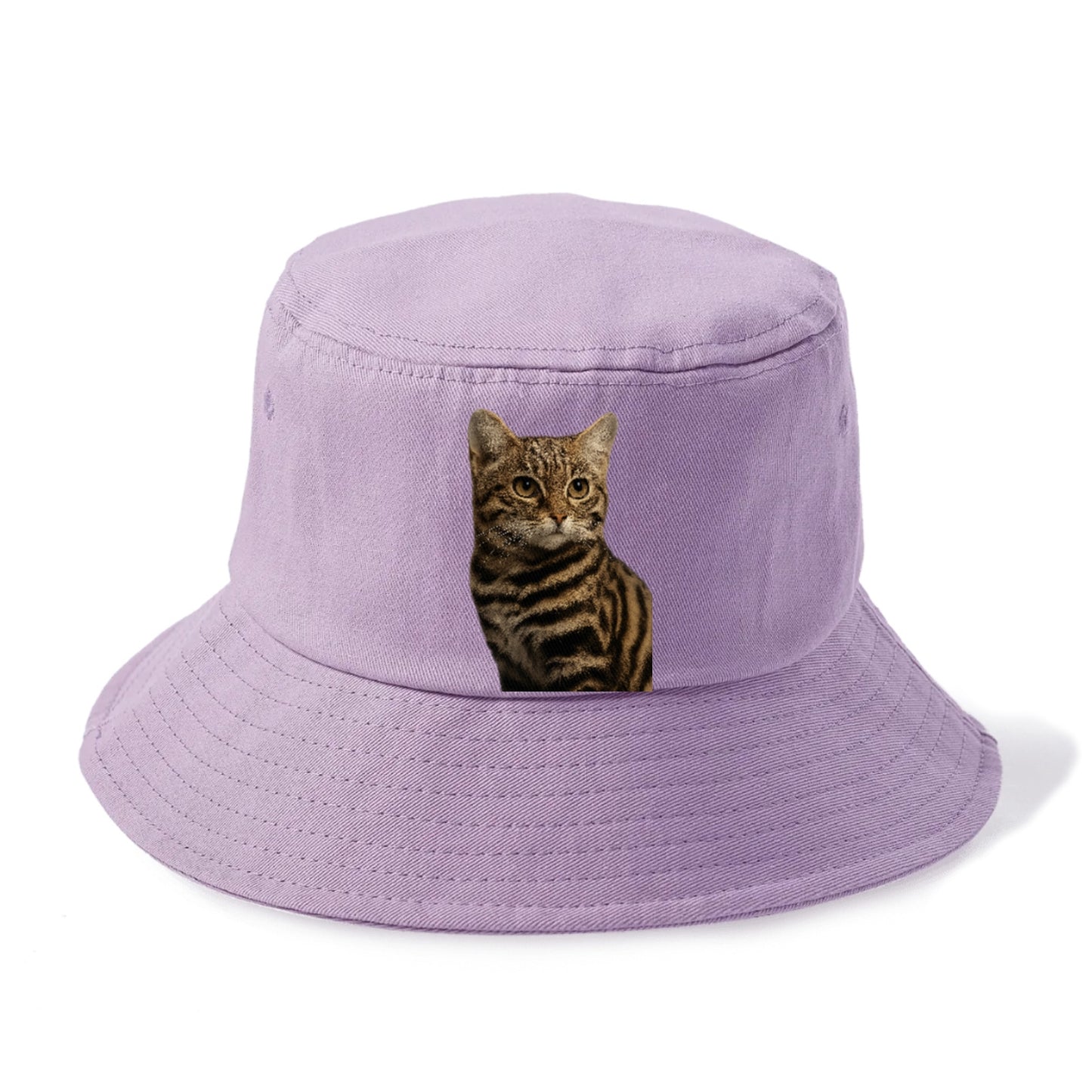 blackfooted-cat-elusive-hunter Hat