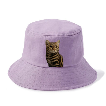 blackfooted-cat-elusive-hunter Hat