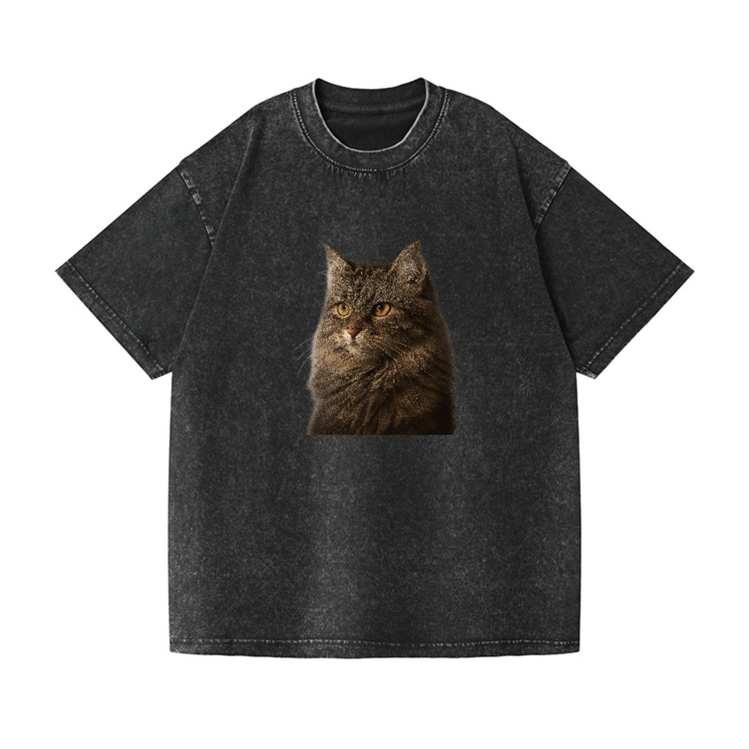 domestic-longhair-graceful-charm Hat