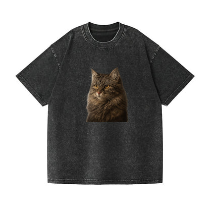 domestic-longhair-graceful-charm Hat