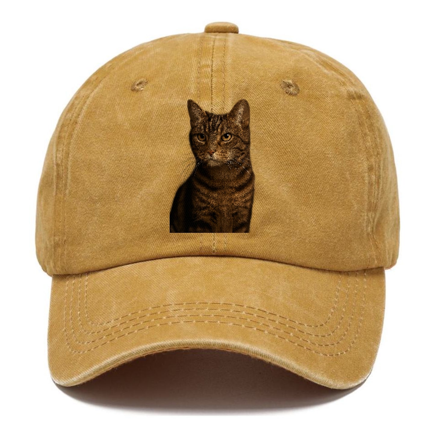 brown-tabby-cozy-charm Hat