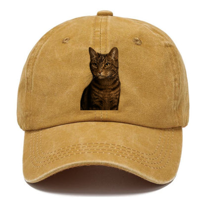 brown-tabby-cozy-charm Hat