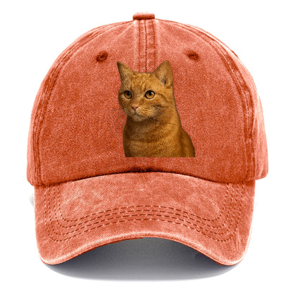 ginger-cat-playful-spirit Hat