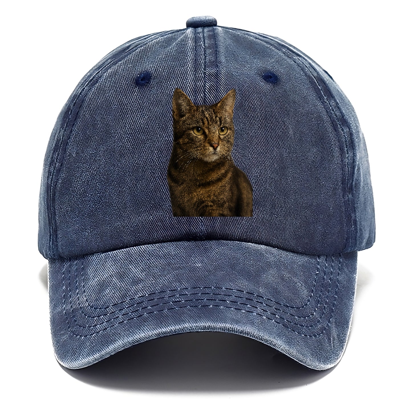 barn-cat-rustic-charm Hat