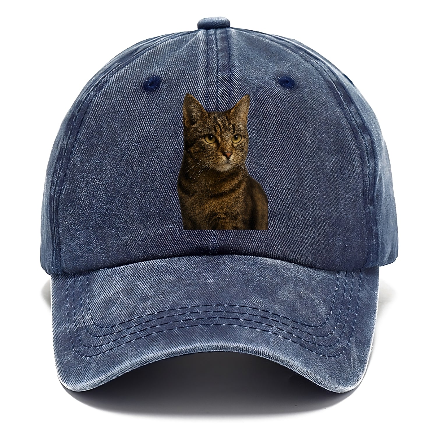 barn-cat-rustic-charm Hat