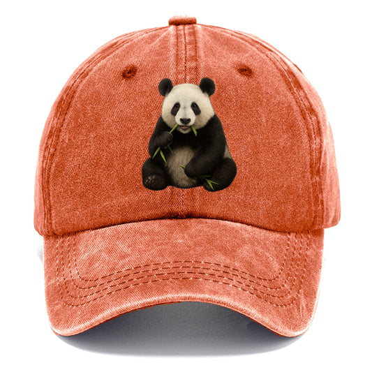 realistic panda eating bamboo hat Hat
