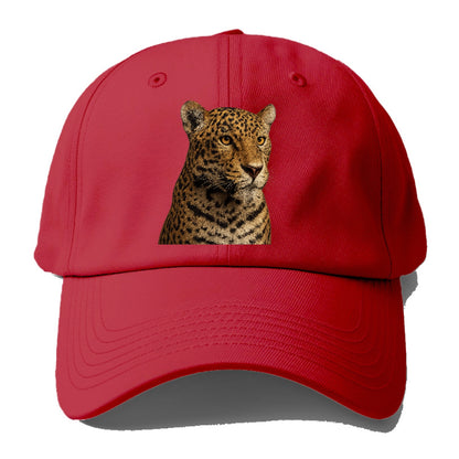 jaguar-stealthy-grace Hat