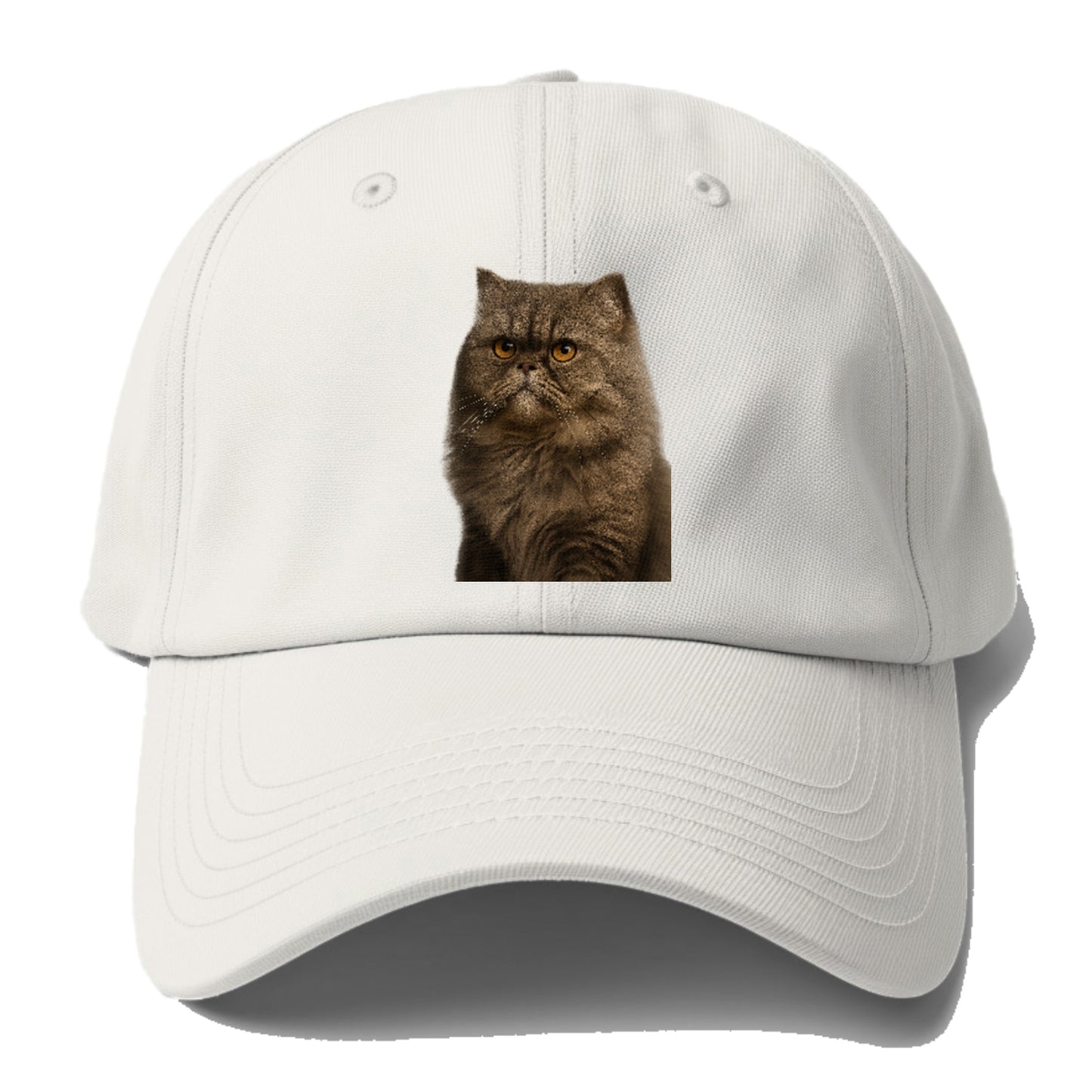 persian-cat-regal-elegance Hat