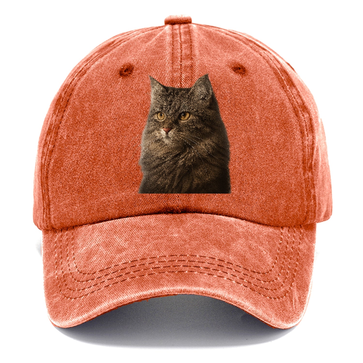 domestic-longhair-graceful-charm Hat